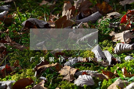 广发银行信用卡逾期风控浦发 广发银行信用卡逾期风控浦发
