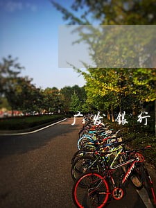 广发银行卡可以逾期几天 广发银行卡可以逾期几天