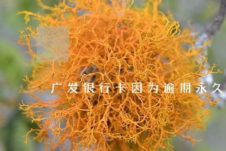 广发银行卡因为逾期永久冻结 广发银行卡因为逾期永久冻结