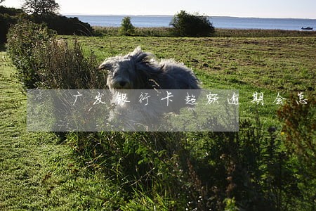 广发银行卡超额逾期会怎样 广发银行卡超额逾期会怎样