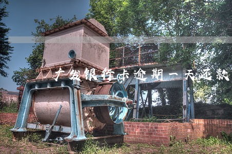 广发银行卡逾期一天还款 广发银行卡逾期一天还款