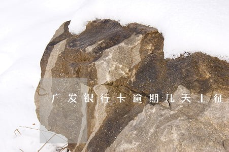广发银行卡逾期几天上征信