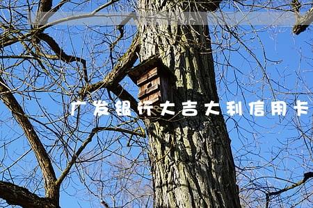 广发银行大吉大利信用卡逾期 广发银行大吉大利信用卡逾期