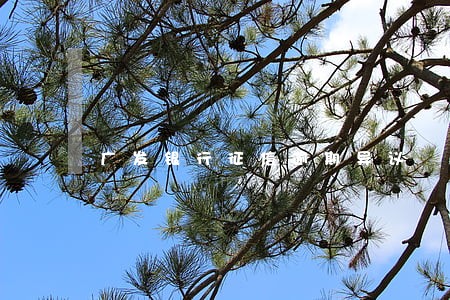 广发银行征信逾期异议 广发银行征信逾期异议