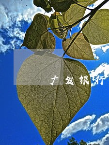 广发银行忘记还款逾期一天 广发银行忘记还款逾期一天
