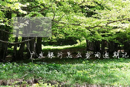 广发银行怎么查询逾期记录 广发银行怎么查询逾期记录