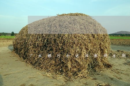 广发银行打电话撤销逾期记录