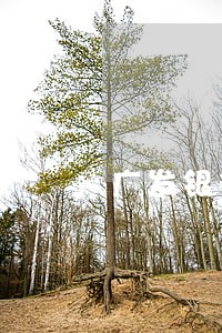 广发银行最低还款是逾期吗 广发银行最低还款是逾期吗
