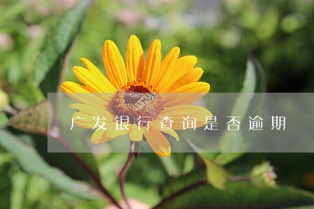广发银行查询是否逾期