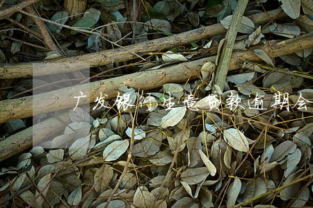 广发银行生意贷款逾期会怎样 广发银行生意贷款逾期会怎样