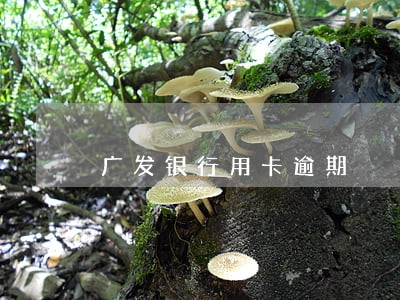 广发银行用卡逾期