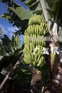 广发银行的逾期利息 广发银行的逾期利息