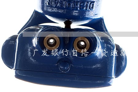 广发银行自信一贷逾期几天上门 广发银行自信一贷逾期几天上门