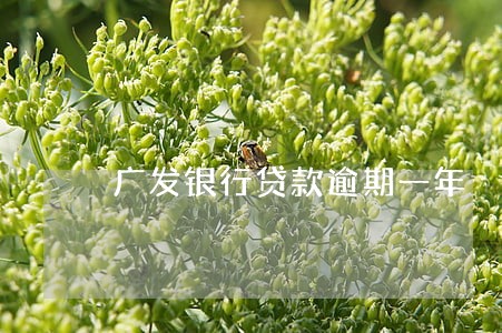 广发银行贷款逾期一年