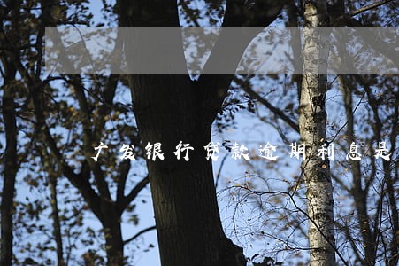 广发银行贷款逾期利息是多少钱 广发银行贷款逾期利息是多少钱
