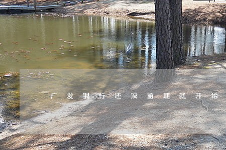 广发银行还没逾期就开始催 广发银行还没逾期就开始催