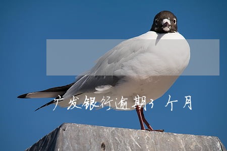 广发银行逾期3个月 广发银行逾期3个月