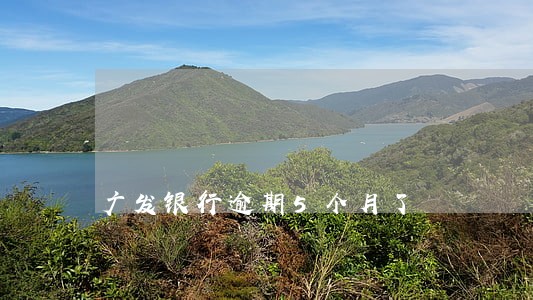 广发银行逾期5个月了 广发银行逾期5个月了