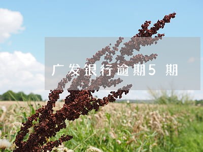广发银行逾期5期 广发银行逾期5期