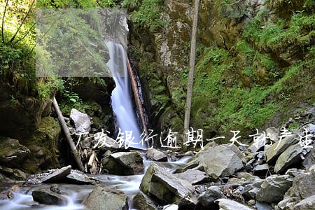 广发银行逾期一天就产生利息 广发银行逾期一天就产生利息