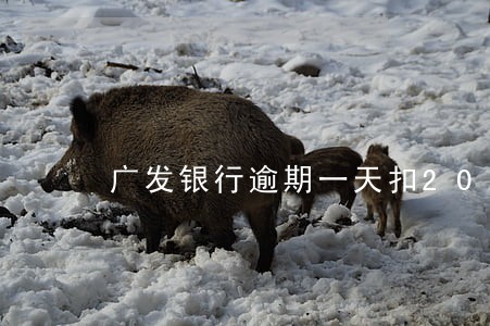 广发银行逾期一天扣20 广发银行逾期一天扣20