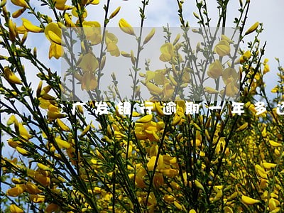 广发银行逾期一年多还能分期还吗 广发银行逾期一年多还能分期还吗