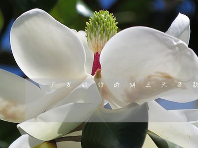 广发银行逾期三天还款期限 广发银行逾期三天还款期限
