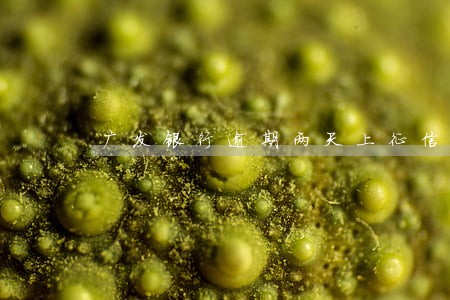 广发银行逾期两天上征信 广发银行逾期两天上征信