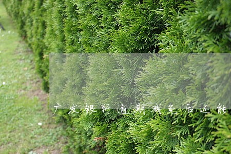 广发银行逾期减免后还能用吗 广发银行逾期减免后还能用吗