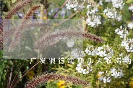 广发银行逾期几天收滞纳金 广发银行逾期几天收滞纳金