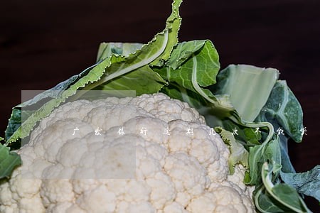 广发银行逾期几次不能贷款 广发银行逾期几次不能贷款