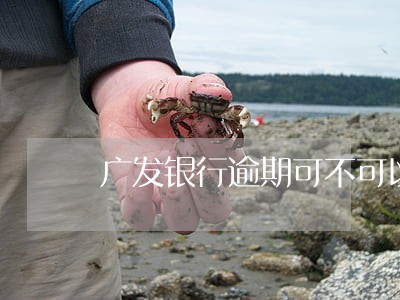 广发银行逾期可不可以协商分期 广发银行逾期可不可以协商分期