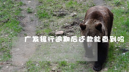 广发银行逾期后还款能查到吗 广发银行逾期后还款能查到吗