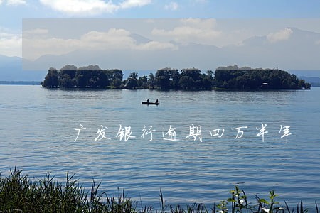 广发银行逾期四万半年 广发银行逾期四万半年