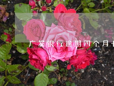 广发银行逾期四个月七万多元 广发银行逾期四个月七万多元