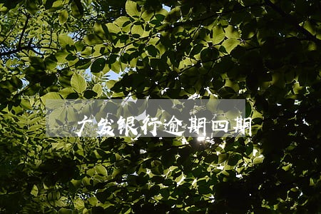 广发银行逾期四期 广发银行逾期四期