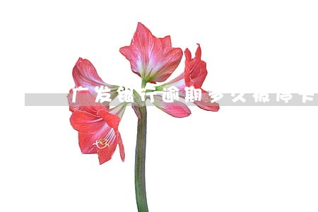 广发银行逾期多久被停卡 广发银行逾期多久被停卡