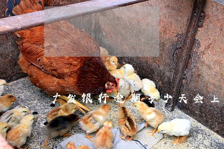 广发银行逾期多少天会上征信 广发银行逾期多少天会上征信