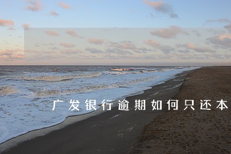 广发银行逾期如何只还本金 广发银行逾期如何只还本金