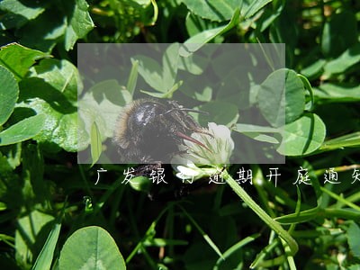 广发银行逾期开庭通知书 广发银行逾期开庭通知书