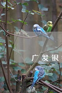 广发银行逾期怎么上岸