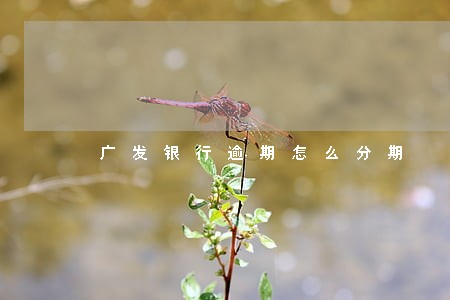 广发银行逾期怎么分期 广发银行逾期怎么分期