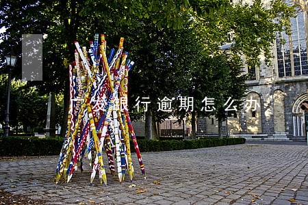 广发银行逾期怎么办 广发银行逾期怎么办