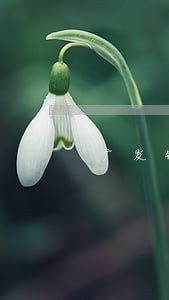 广发银行逾期是哪个贷款 广发银行逾期是哪个贷款