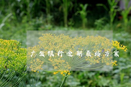 广发银行逾期最终方案