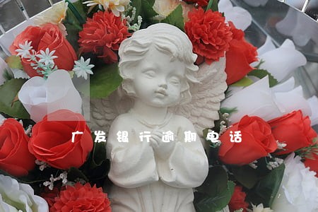广发银行逾期电话 广发银行逾期电话