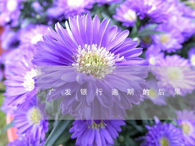 广发银行逾期的后果 广发银行逾期的后果