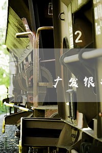 广发银行逾期警察立案