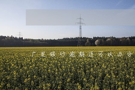 广发银行逾期还可以办分期吗 广发银行逾期还可以办分期吗