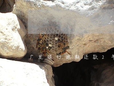 广发银行逾期还款2年 广发银行逾期还款2年